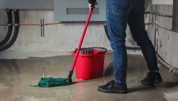 Best Water damage restoration near me  in West University Place, TX