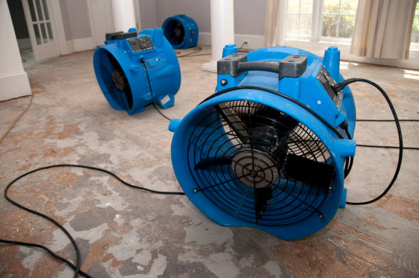 Best Carpet water damage restoration  in West University Place, TX