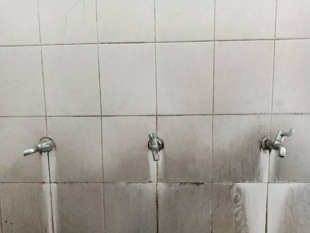 Best Water damage restoration near me  in West University Place, TX