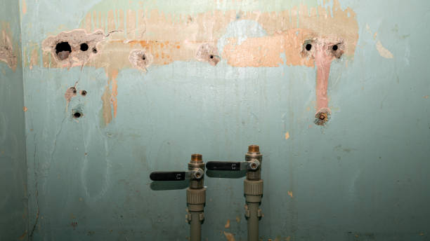 Water damage restoration mold remediation in West University Place, TX